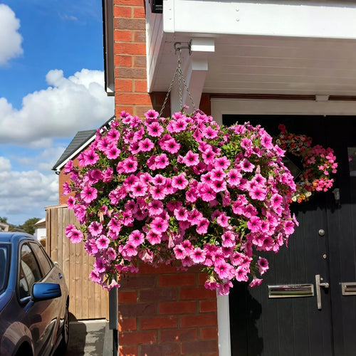 🔥Last Day 49% OFF🔥UV Resistant Artificial Petunias Flowers