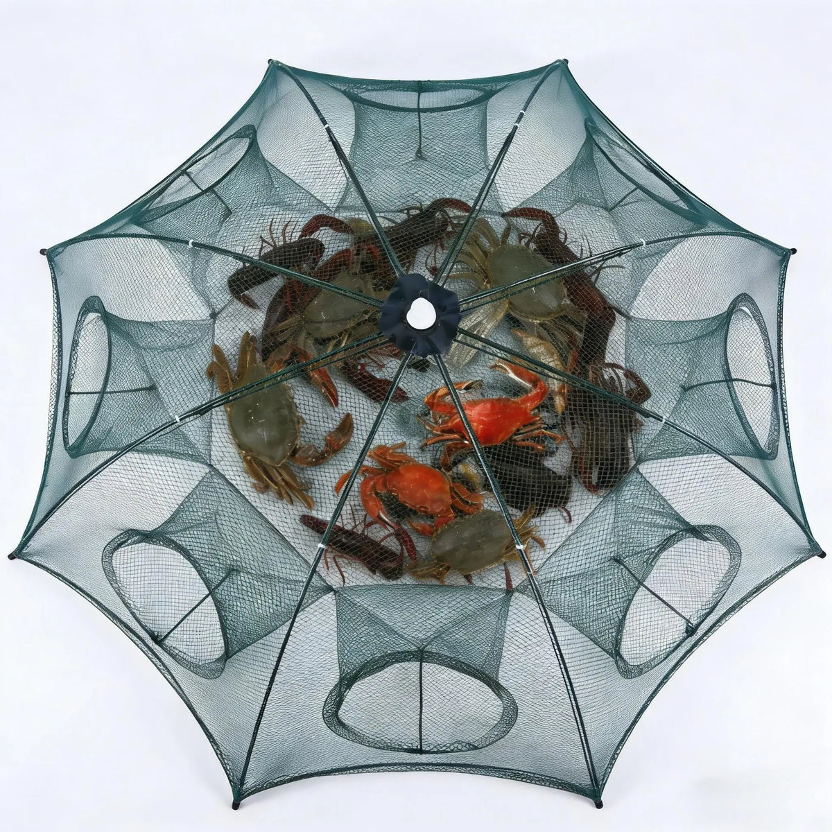 🎣 Foldable 6-Hole Fishing Bait Trap | Crab, Crawfish & Minnow Net