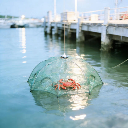 🎣 Foldable 6-Hole Fishing Bait Trap | Crab, Crawfish & Minnow Net