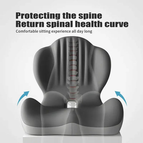 🔥Memory Foam Seat Cushion – Lumbar Support, Back Pain Relief, Pressure Reduction