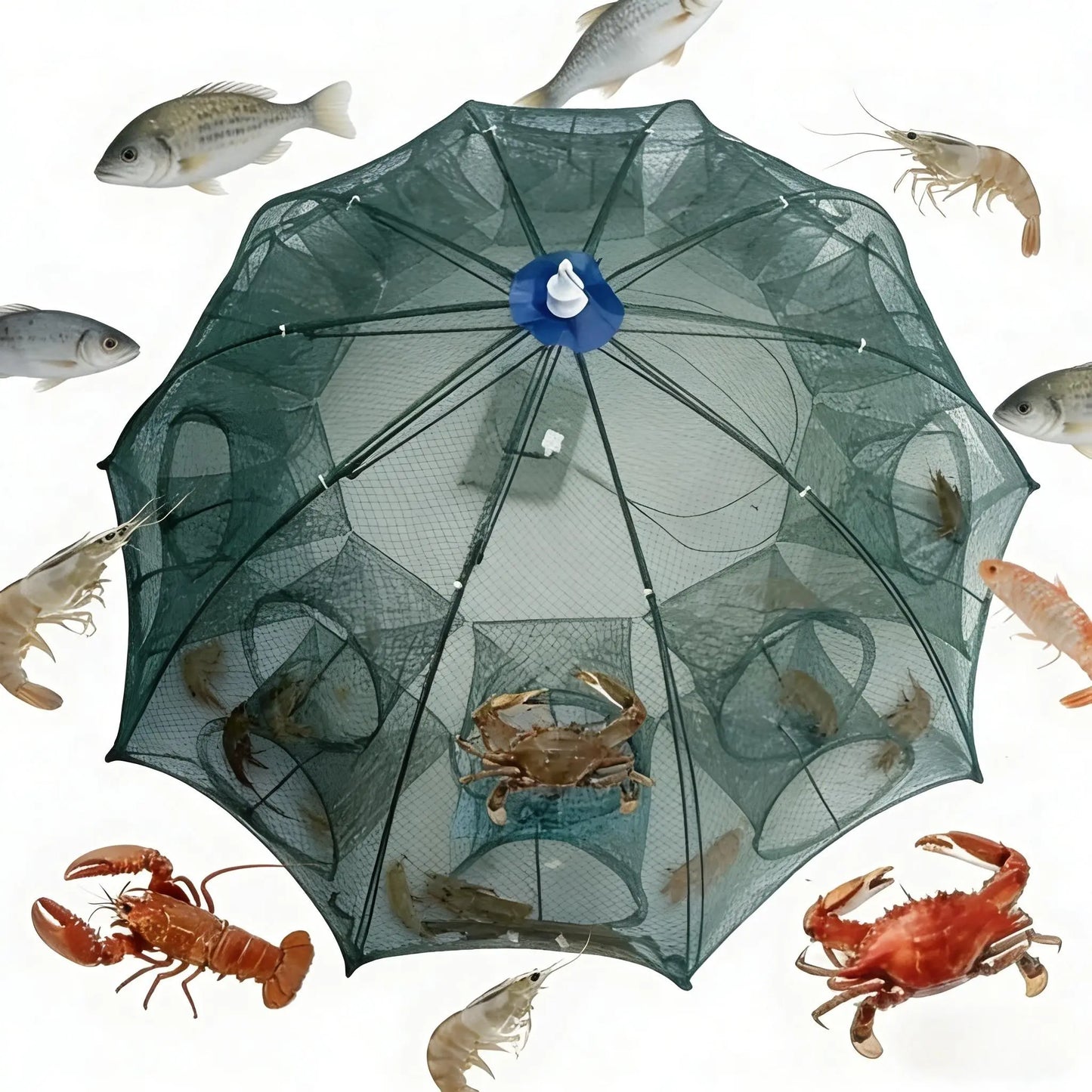 🎣 Foldable 6-Hole Fishing Bait Trap | Crab, Crawfish & Minnow Net