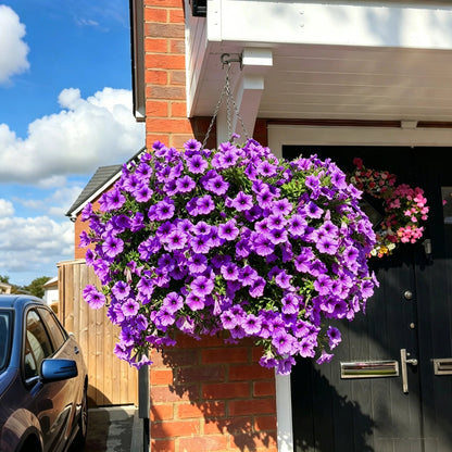 🔥Last Day 49% OFF🔥UV Resistant Artificial Petunias Flowers