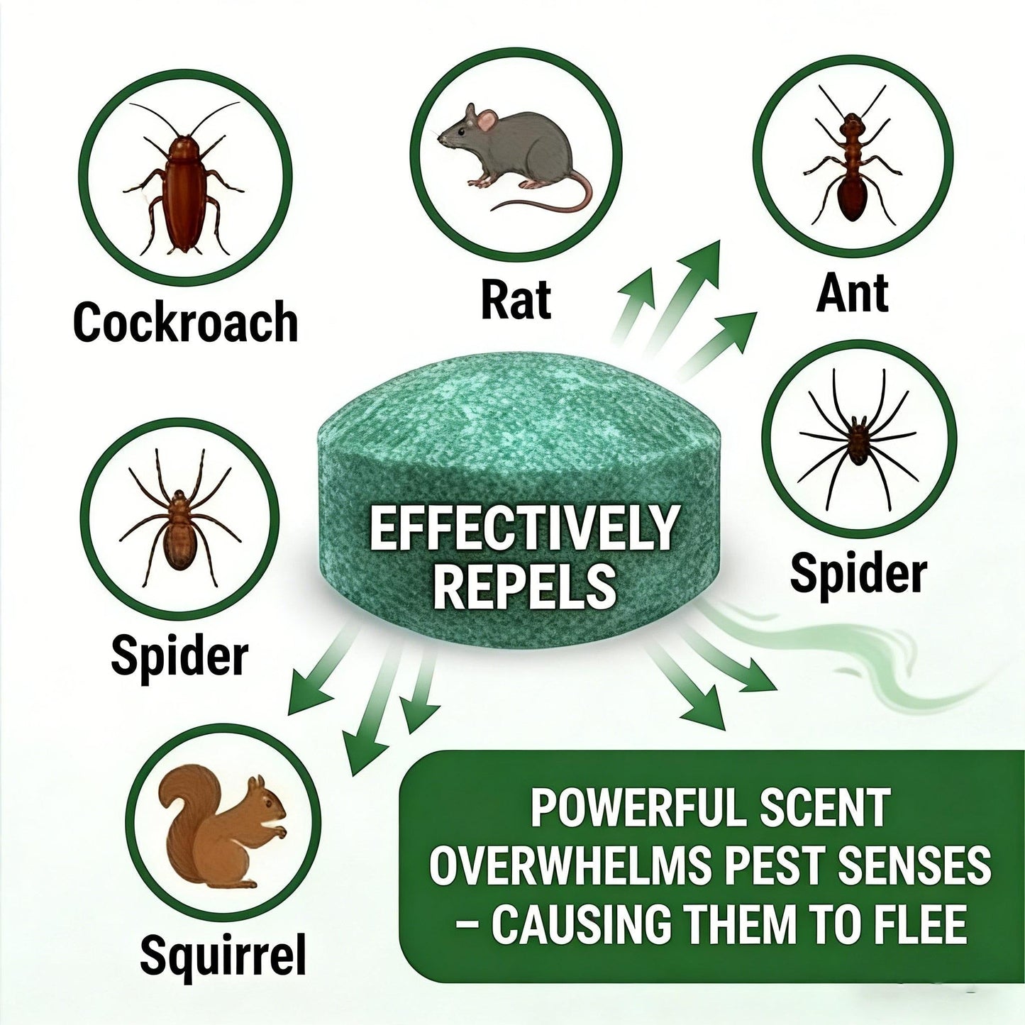 50% OFF🟢 Natural Peppermint Rodent Repellent Tablets – 12 Pack